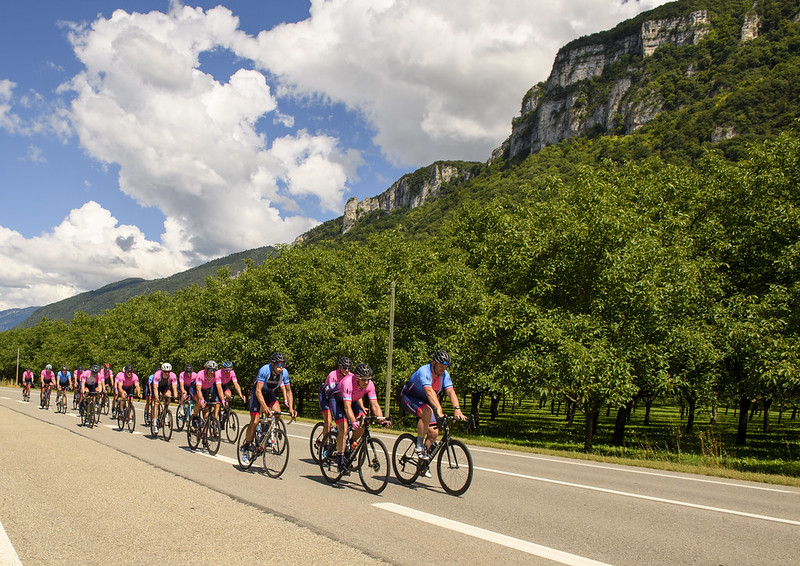 51278483637_638218738c_c