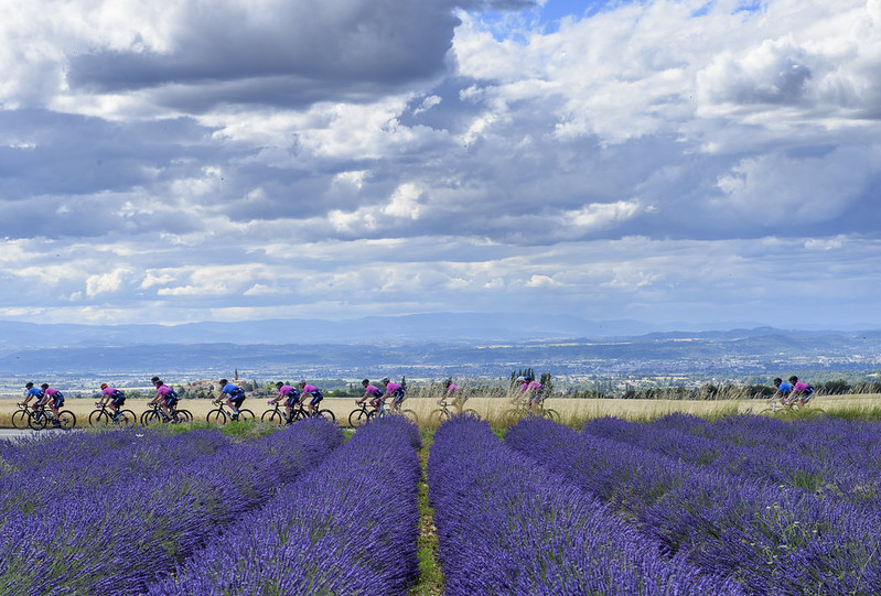 51279228216_7f52a6a98c_c