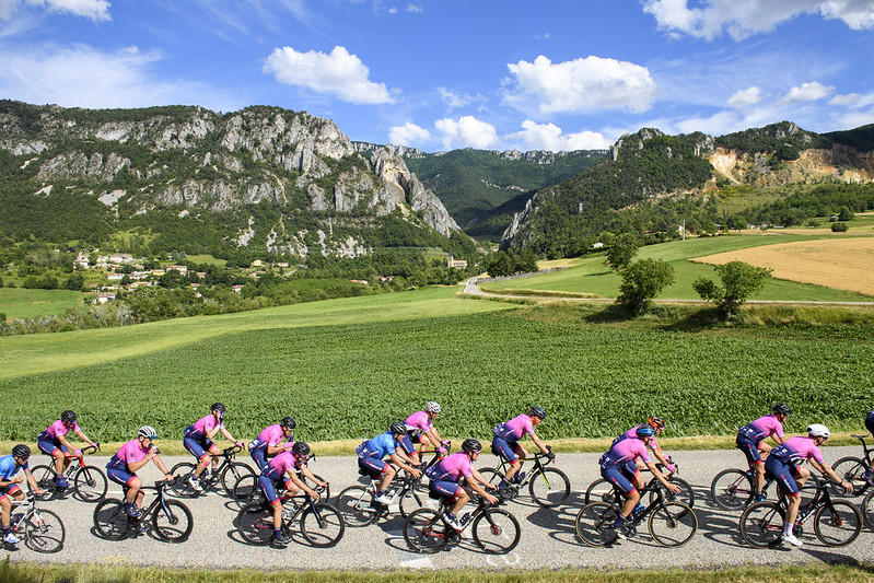 51279229981_0e4c6d1ba6_c