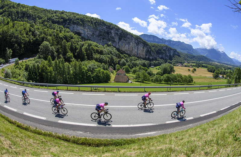 51279406788_27b154d5f9_c