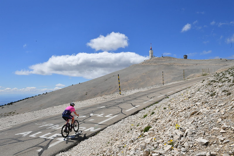 51282234076_9838ecbc0c_c