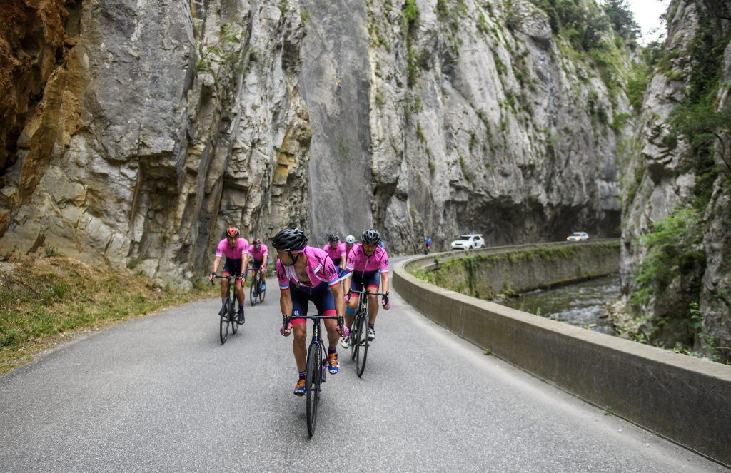 51286540322_ec90bfa0ce_k