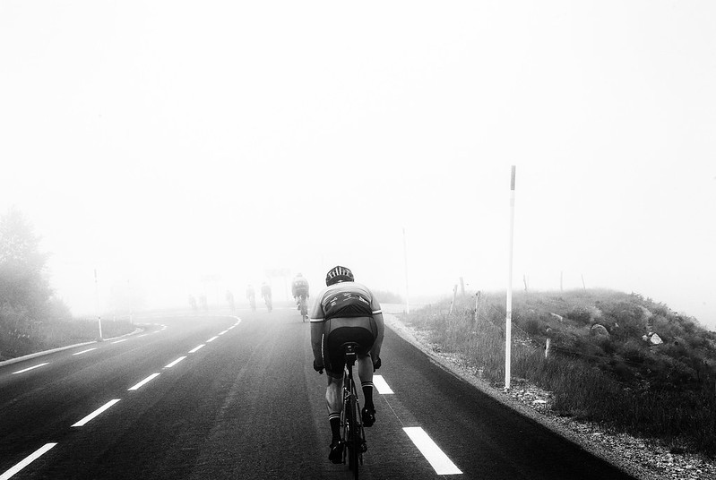 51291833199_62f43d6833_c